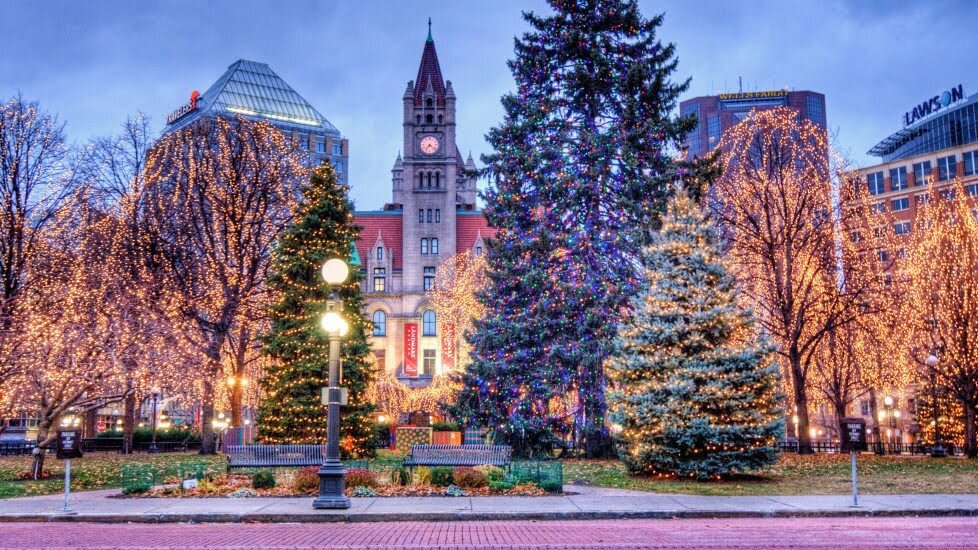 Вот так украшают деревья в Миннесоте под Рождество