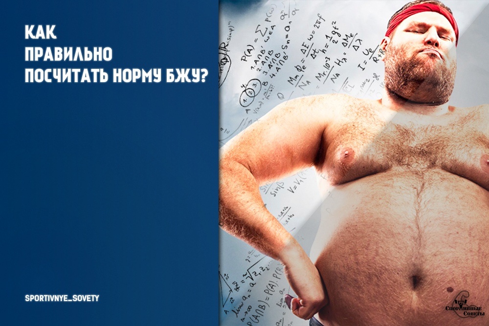 открытый источник