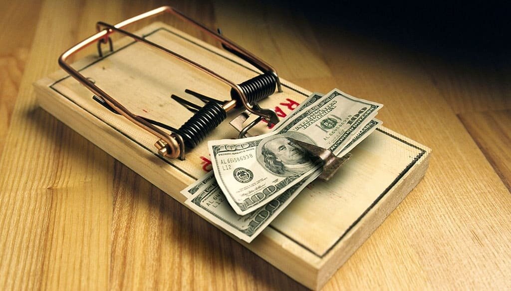 Упс! Кажется, кто-то попался в ловушку агентов! Фото: cdn.pixabay.com