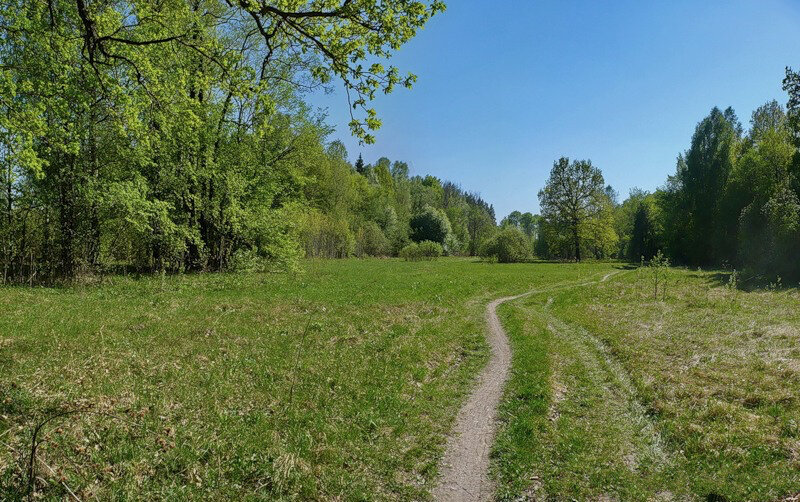 Дорога на Луковую поляну. Фото автора