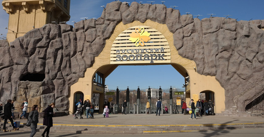 Зоопарк в Москве. Россия