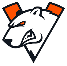 "Официальное лого команды Virtus.Pro"