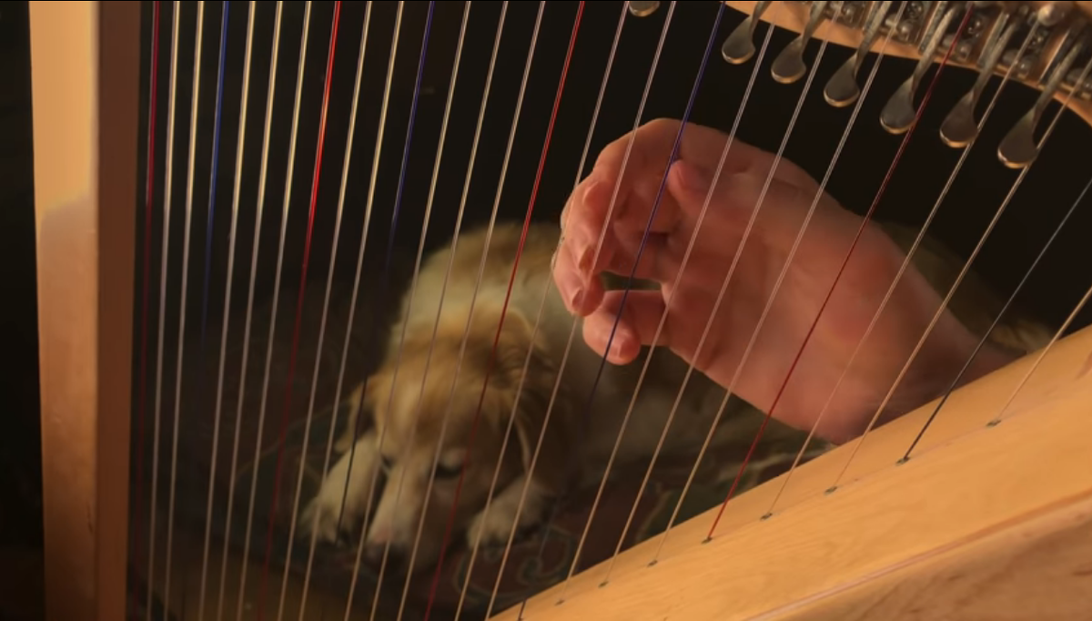 AcousticTrench, скрин YouTube