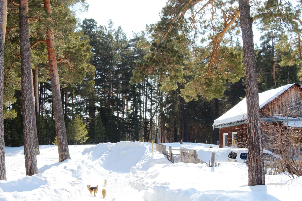 У дома. Фото автора. 