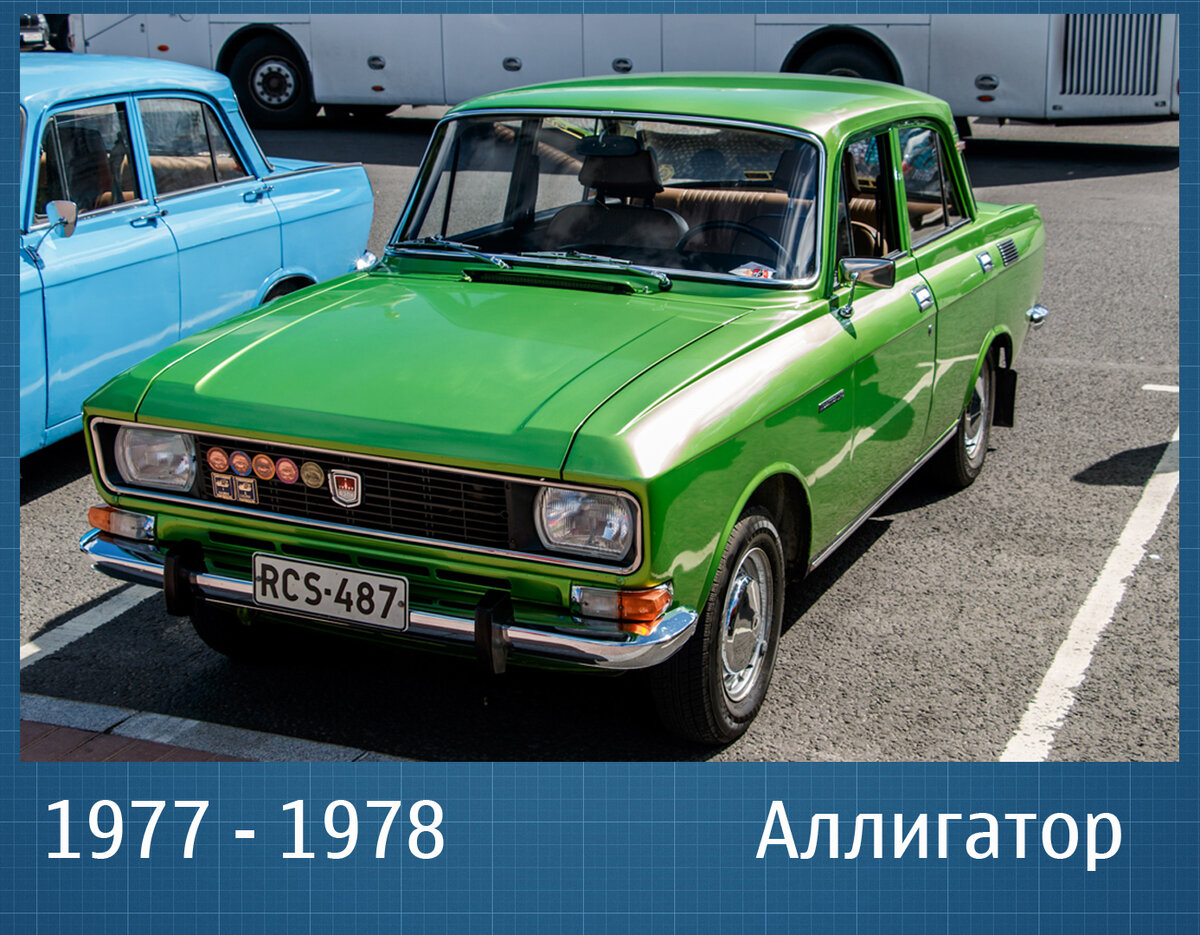 "Аллигатор". Фото из интернета - Цвет конечно перекручен, в реальности оттенки гораздо спокойнее.