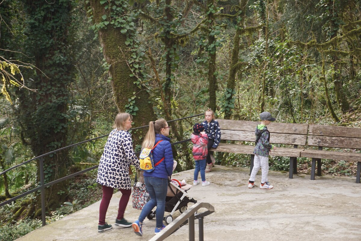 посетитель Тисо-Самшитовой рощи