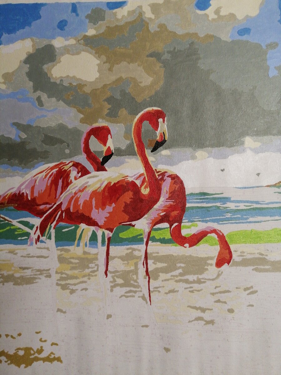 Розовые фламинго в процессе