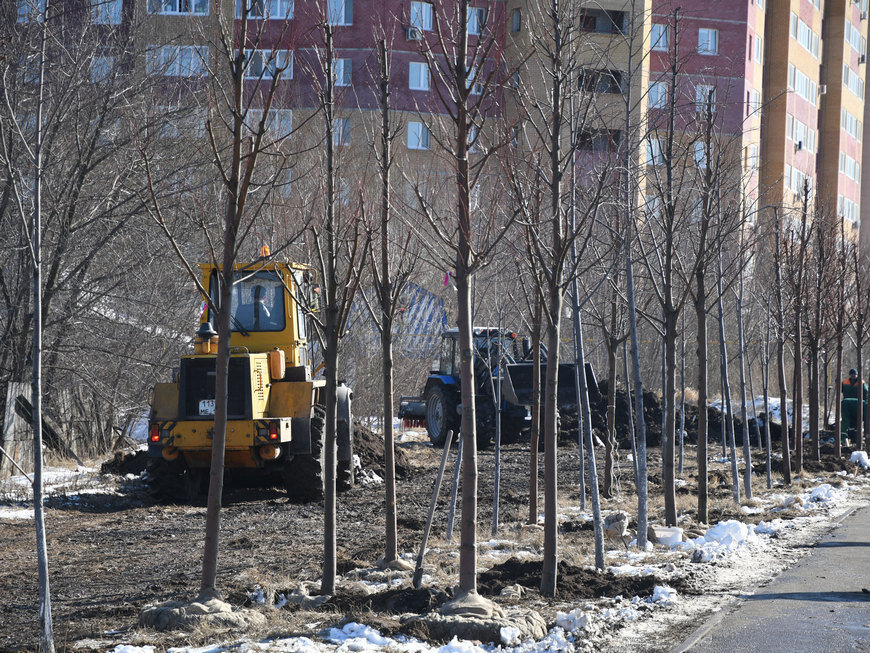 Фото: Денис Гордийко