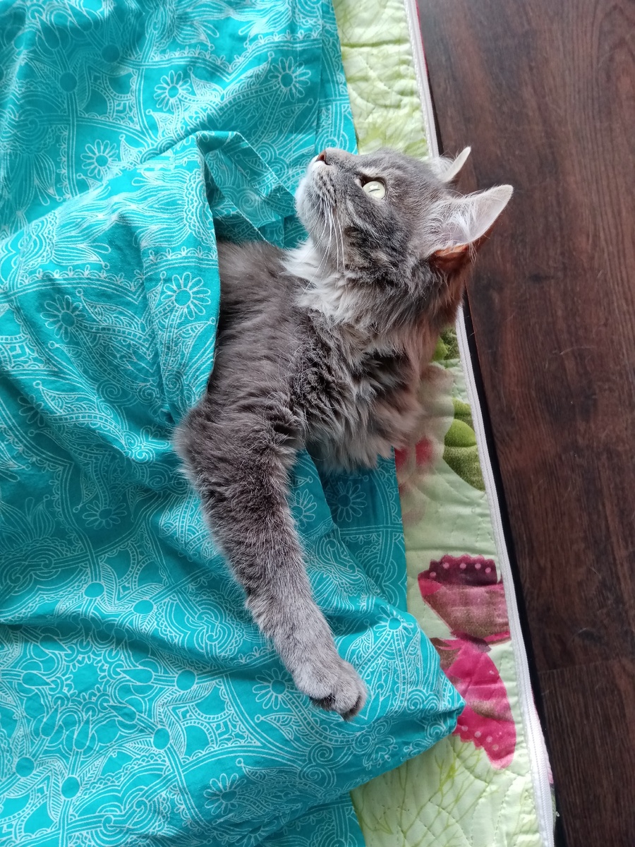 2 кг счастья