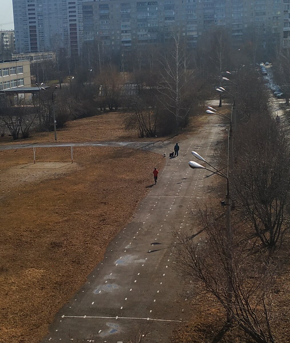 Фото моё личное. На стадионе гуляют и с собаками и с детьми, и спортом занимаются.