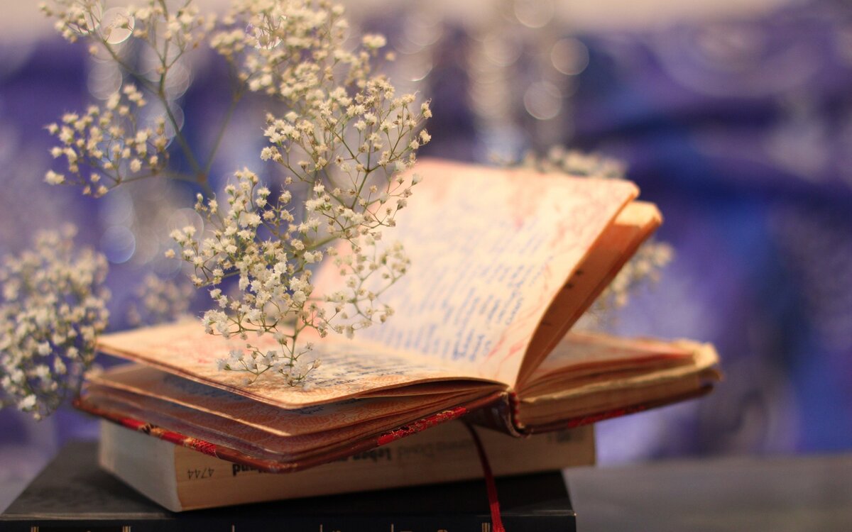 https://wallbox.ru/wallpapers/main2/201647/books-bokeh-plant-mood.jpg