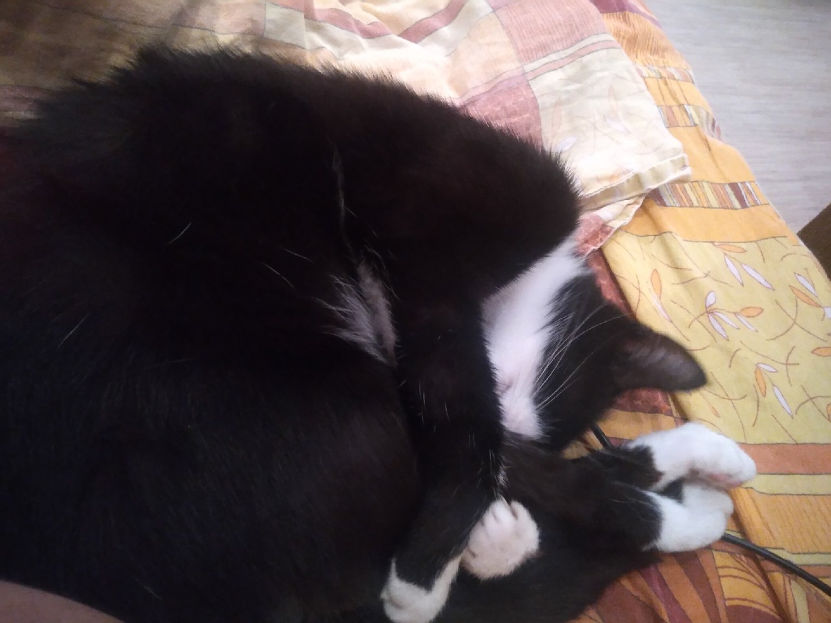 В итоге, мы остались вдвоем.