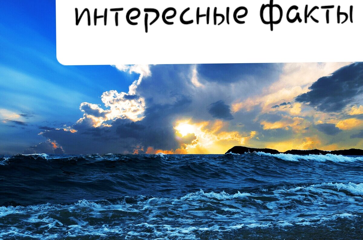 Имена тихого океана. Интересные факты о океанах. Факты о тихом океане. Тихий океан интересное. Удивительные факты о океане.