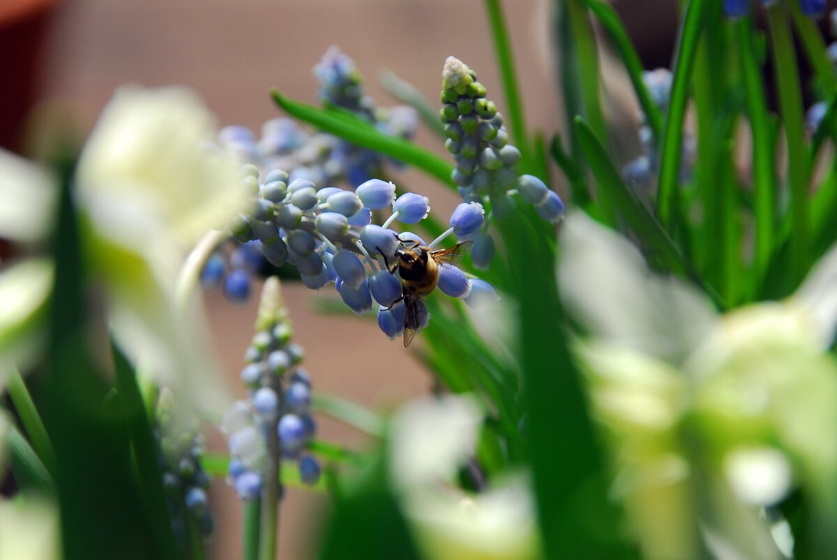 (фото из открытых источников).