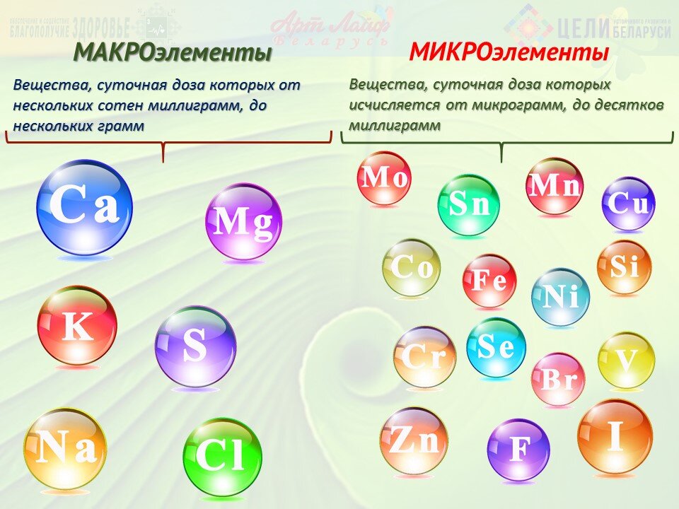 Витамины и минералы — сколько их нам нужно и зачем. Разбираемся с Чайкой и Печалькой