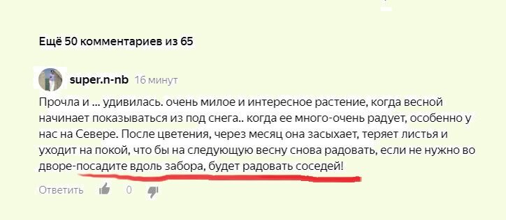 Хохлатка, от которой невозможно избавиться, а кто-то за нее заступается