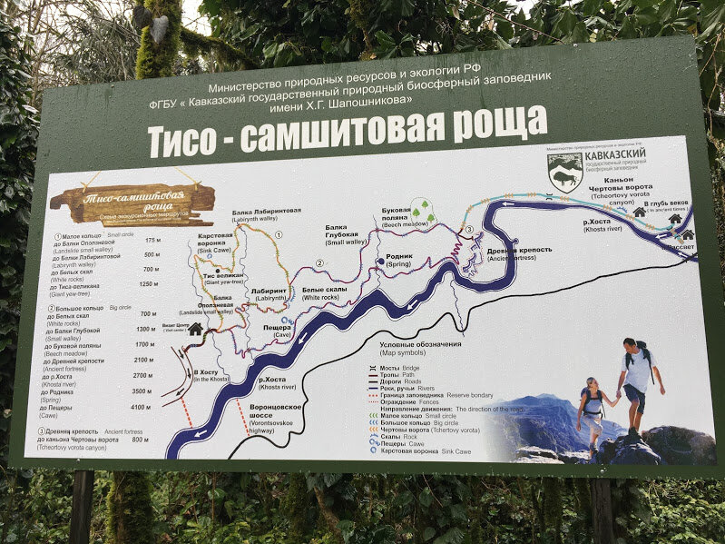 Тисо самшитовая роща карта маршрутов