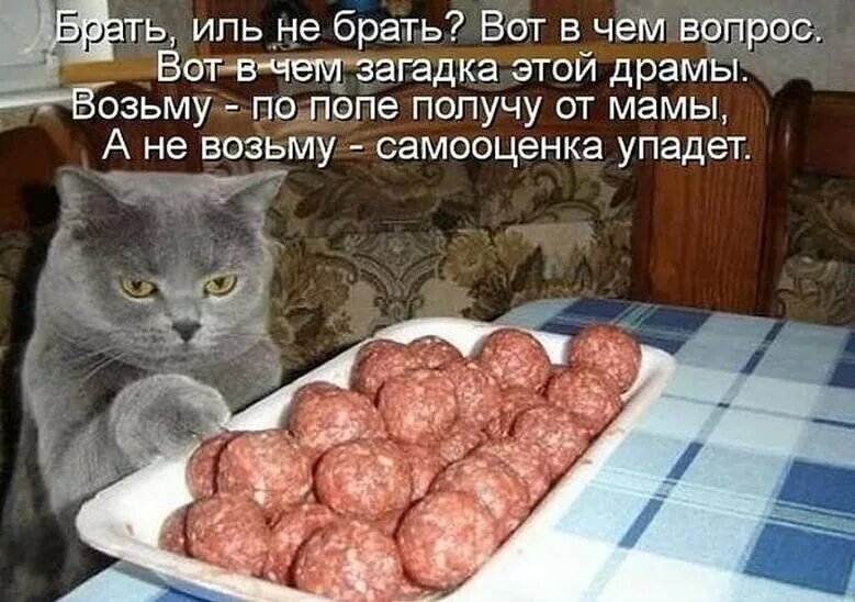 Фото взято из открытого источника.