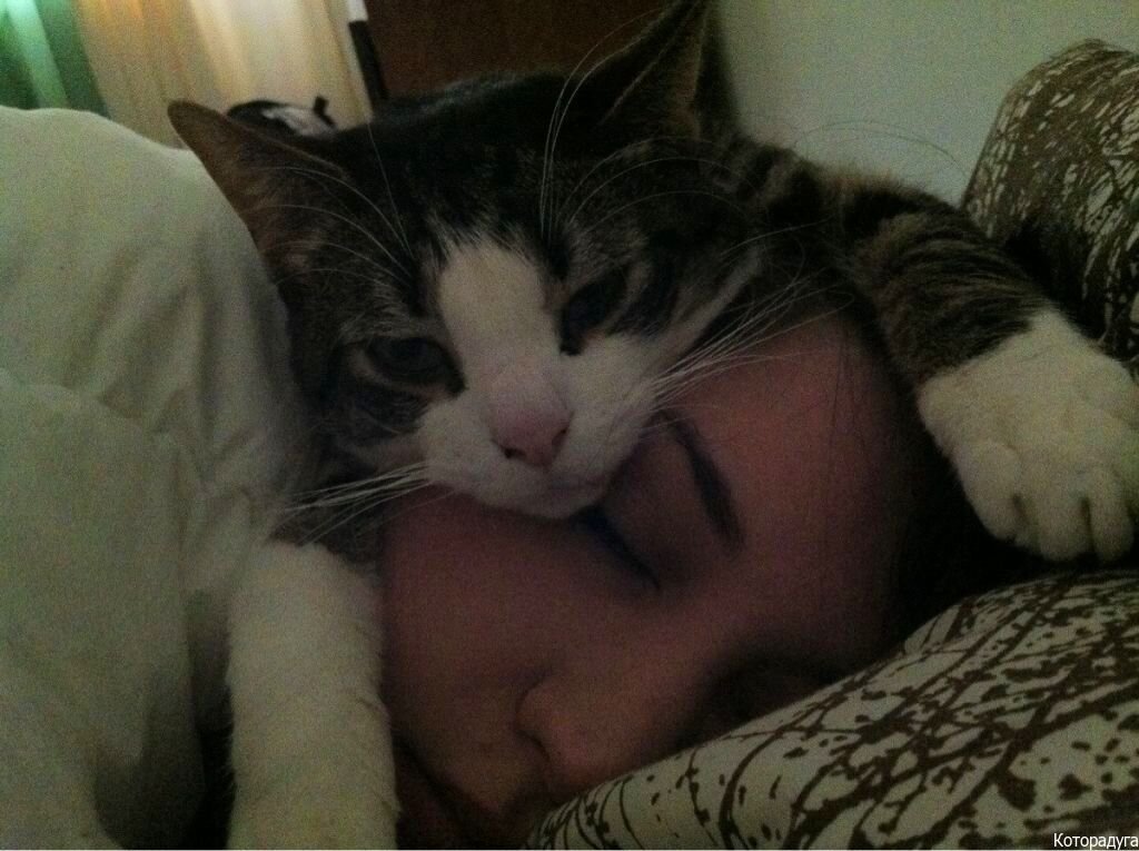 Источник: pinterest.com