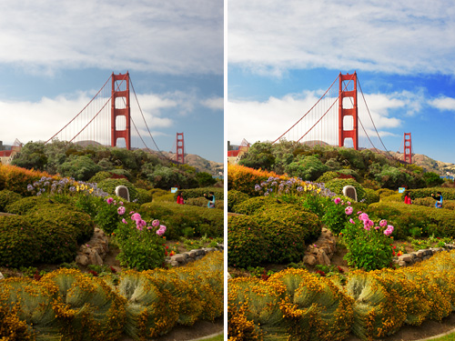 Источник Яндекс картинки