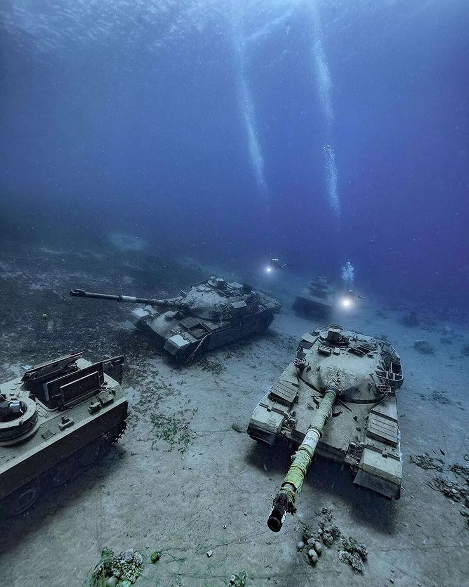 Фото от Alex Dawson