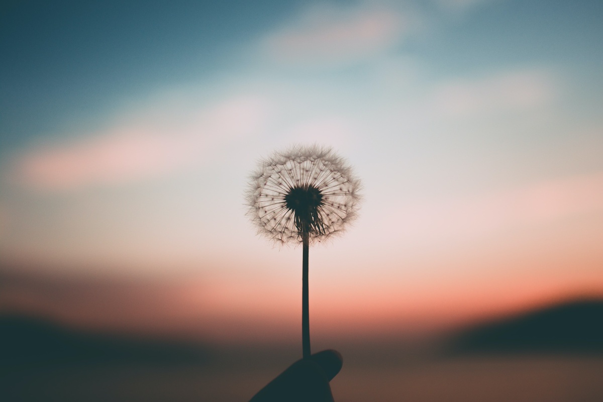 фото: unsplash 