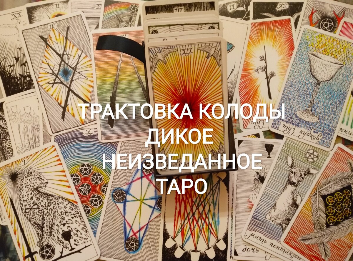 Дикое неизведанное. Дикое неизведанное Таро. Таро неизведанное. Дикое неизвестное Таро. Неизведанное дикое карты.