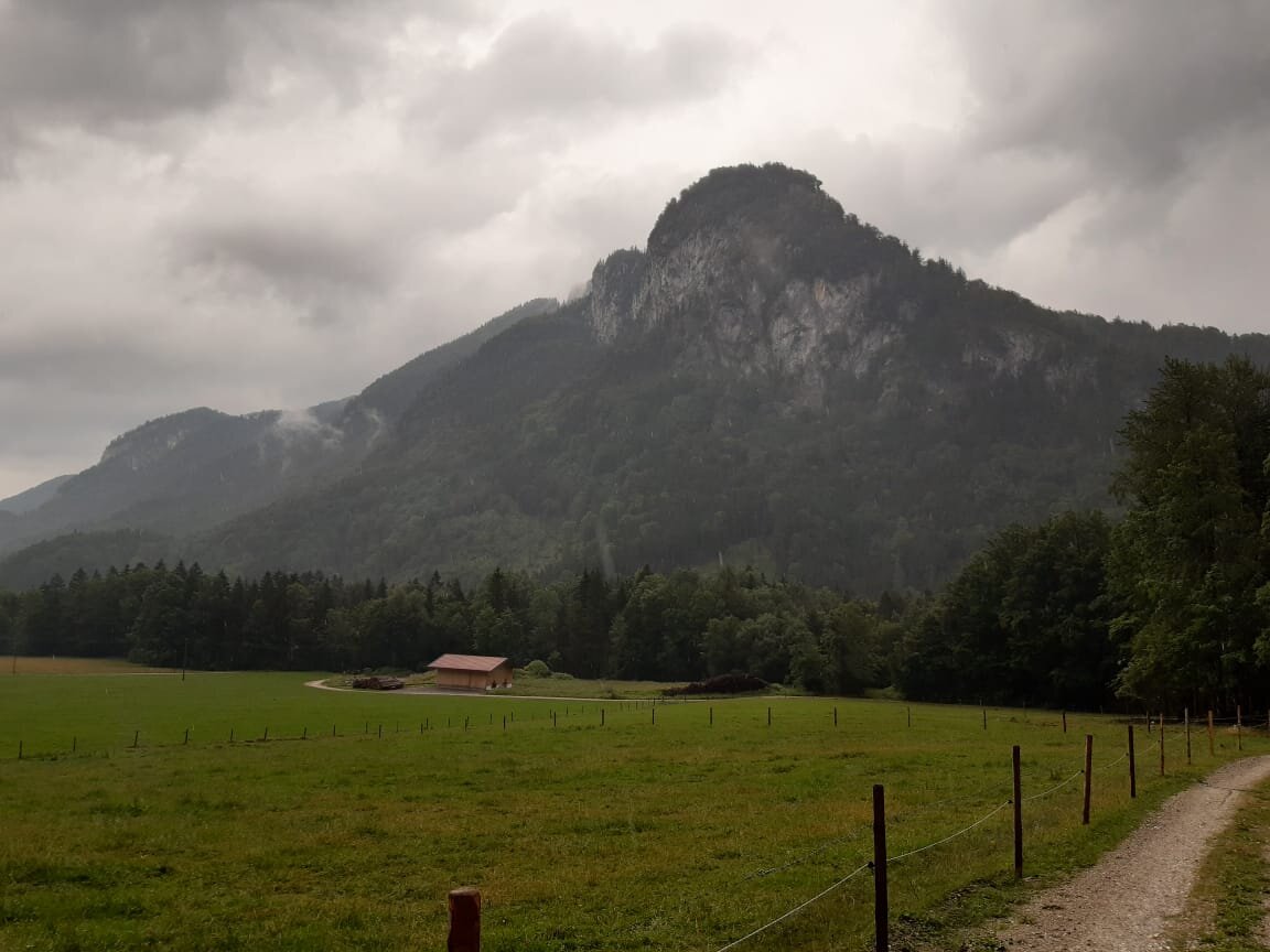 Свежий воздух