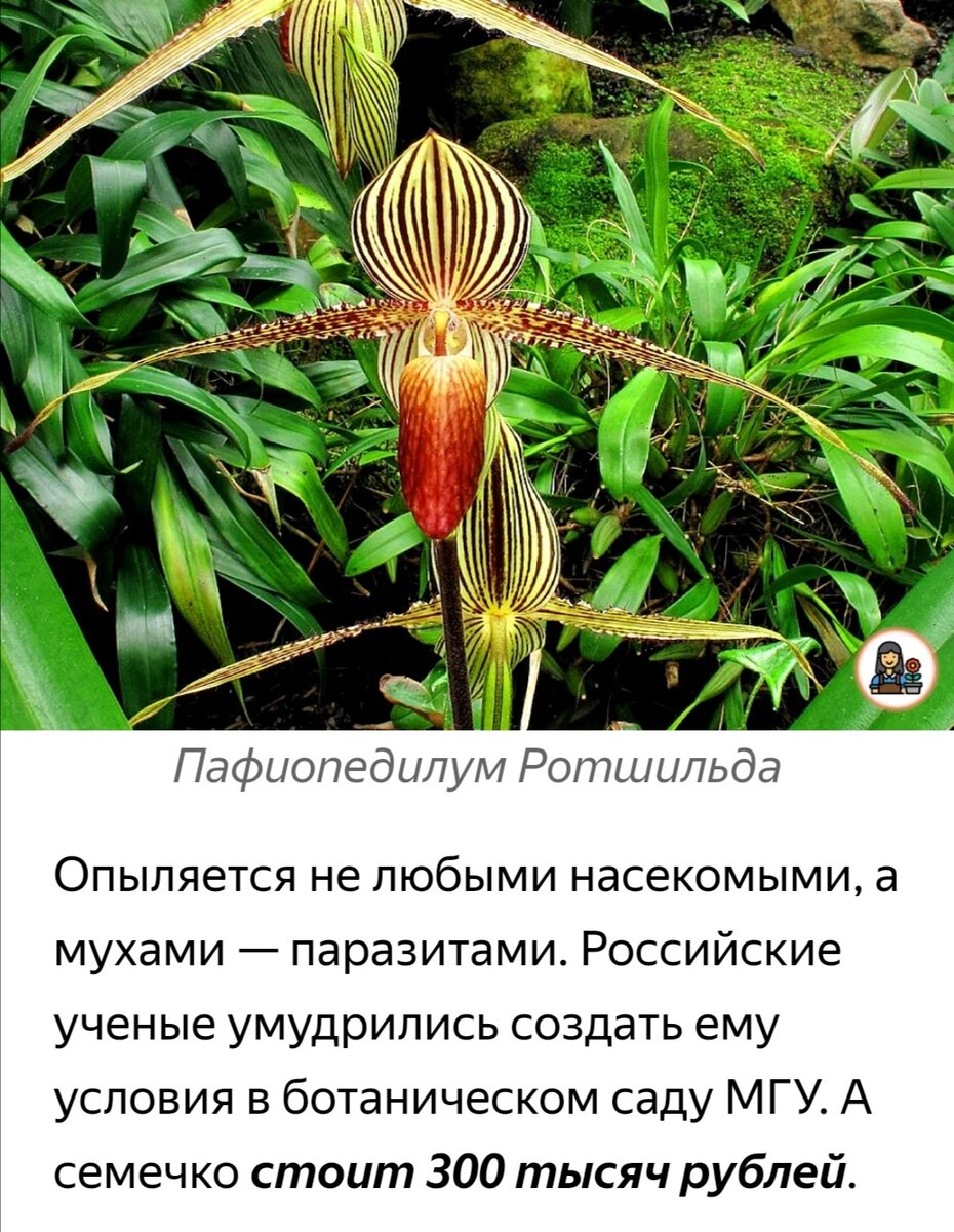 Кусок из статьи, который меня шокировал