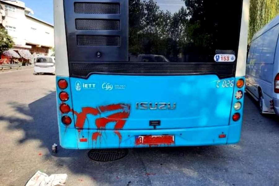 Фото: Турция Алания Махмутлар
