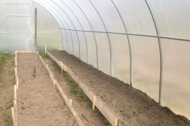 Уборка в теплице осенью.