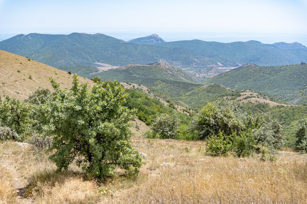 1. Горы Перчем, Сокол, Сандык-кая и Караул-оба (вдали, слева направо). на среднем плане, чуть выше центра кадра вершина Юртун-бурун.