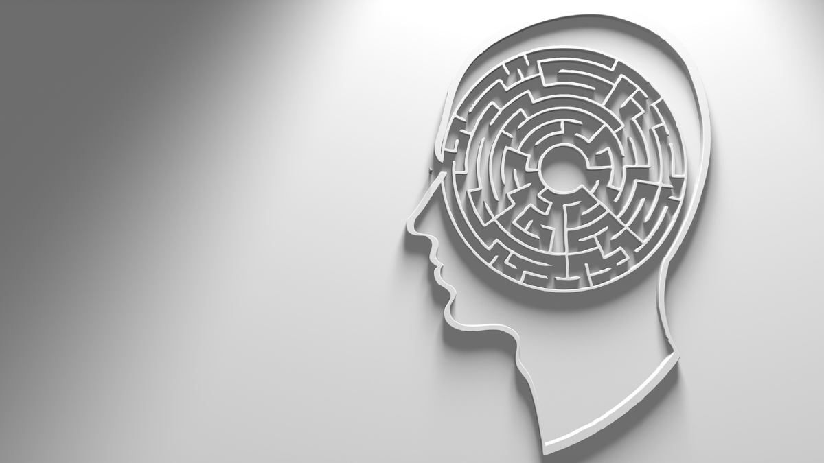 Фото взято с www.canva.com