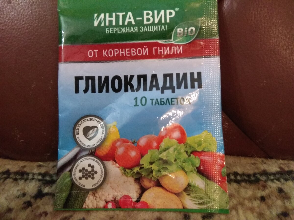 Глиокладин уверенно подавляет не только корневые гнили, но и фитофтороз