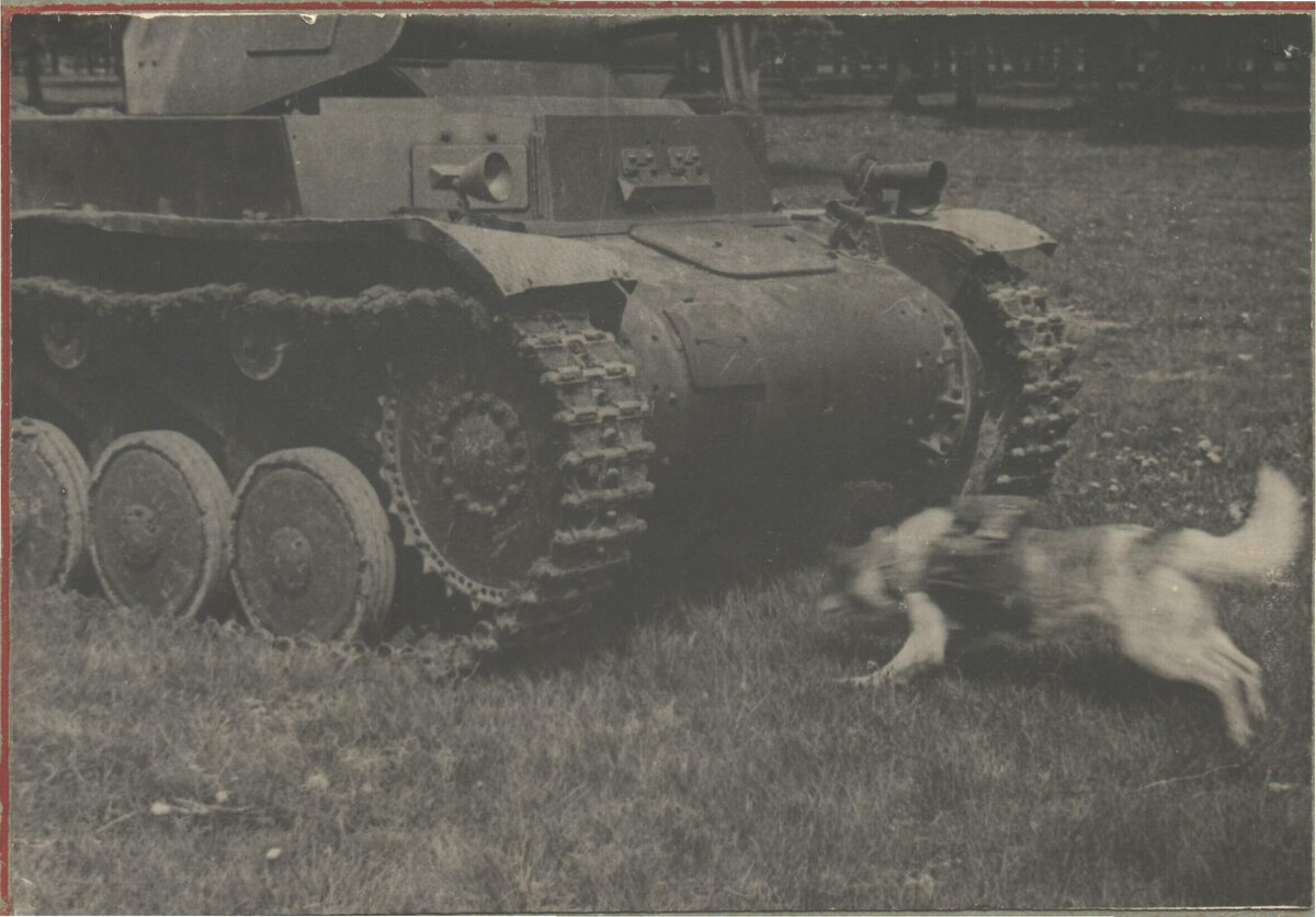 Иллюстрация, мы видим как собака залезает под танк.