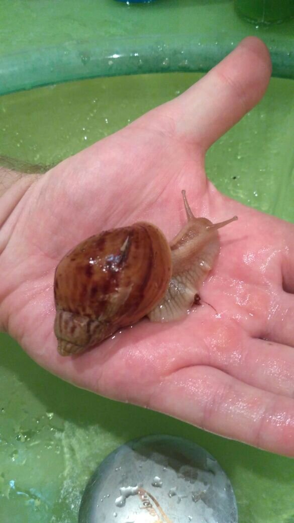 Тут Морковке месяца 2, как раз в таком возрасте мне ее передали