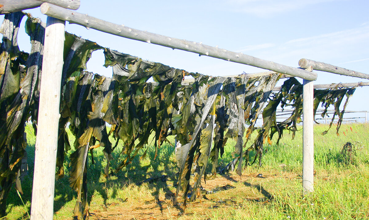 Ламинария (морская капуста)  - съедобная бурая водоросль, которая растет в морях умеренного и субарктического пояса. Ее сушат, морозят, варят и используют как в кулинарии, медицине и косметологии