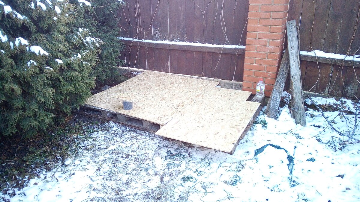 Седьмой день