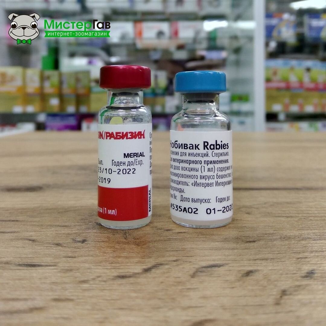 Фото интернет-магазина Мистер Гав