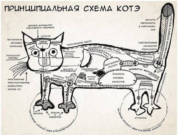 Конструкция кота