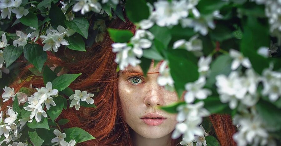 Фото: pixabay.com