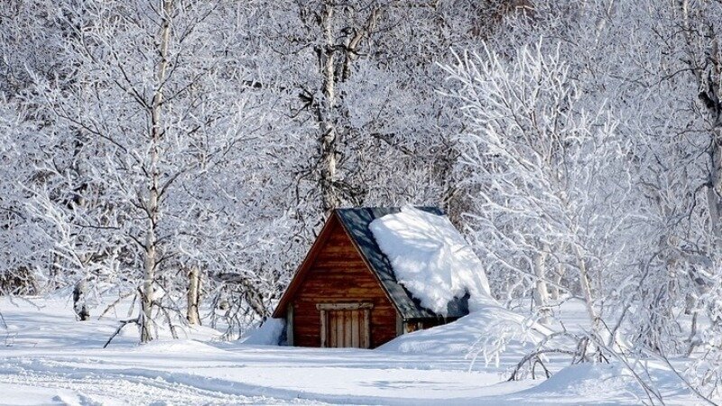 Источник фото - pixabay.com