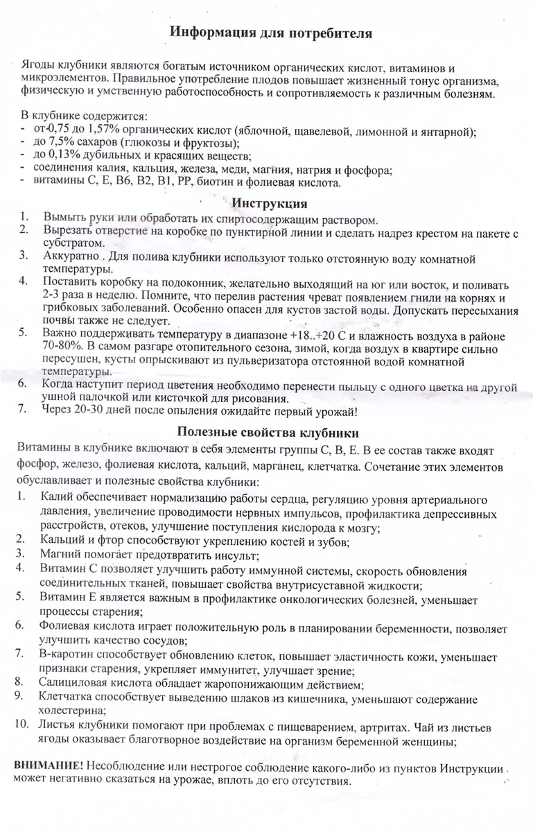 Как я пыталась заработать миллион на клубнике: проверила развод на себе