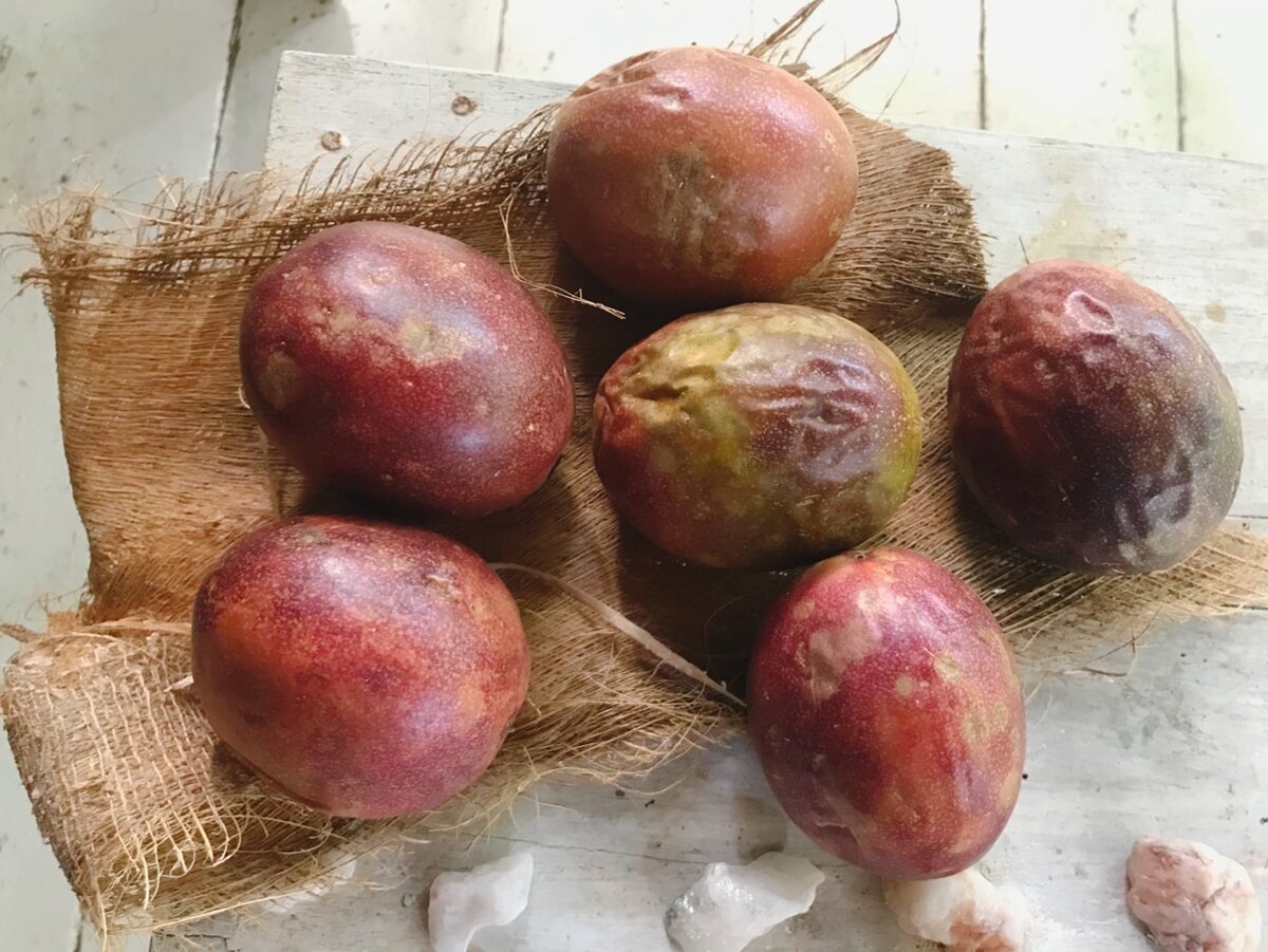 Так выглядит один сорт, а бывает еще более крупный, желтого цвета. Если кожура сморщилась, внутри фрукт по-прежнему свежий!