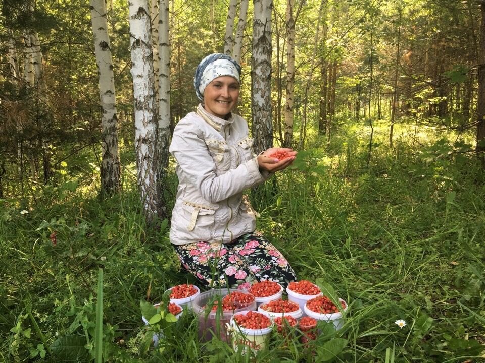 Фото: Aggryz-rt.ru