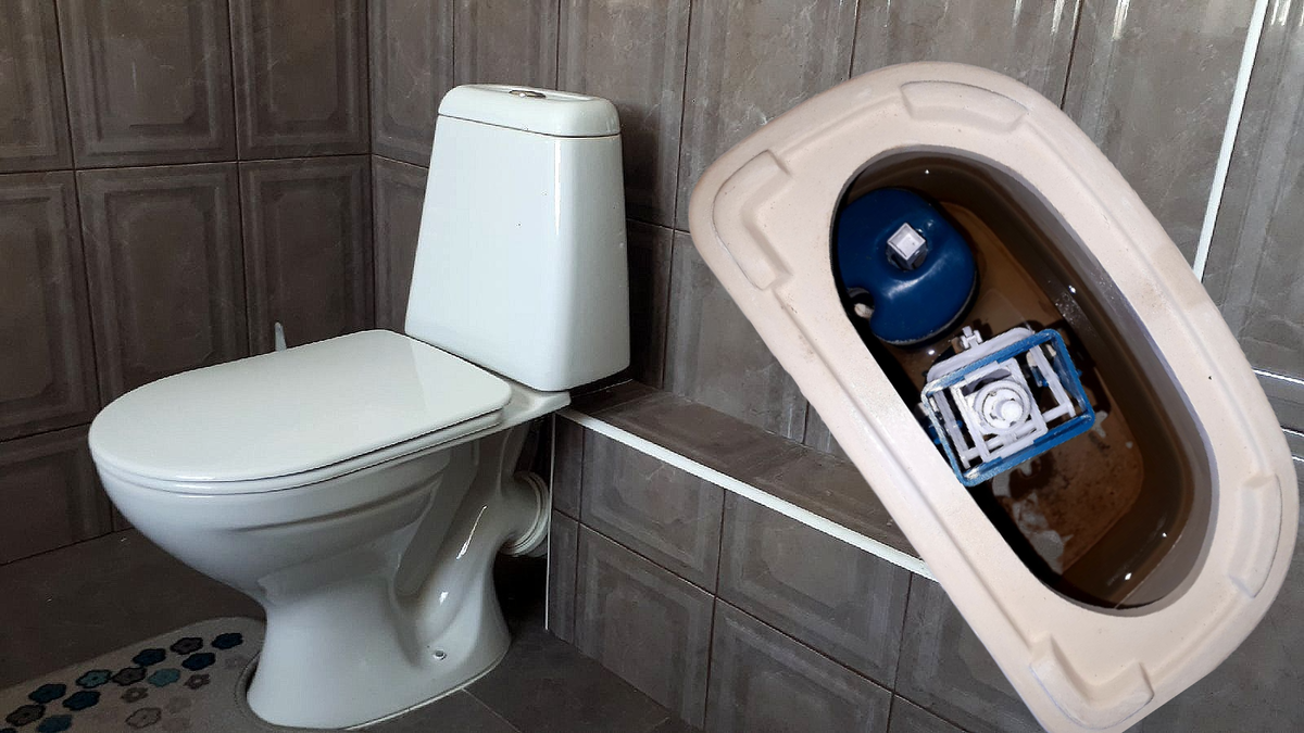 авторское фото Гор Багдасарян