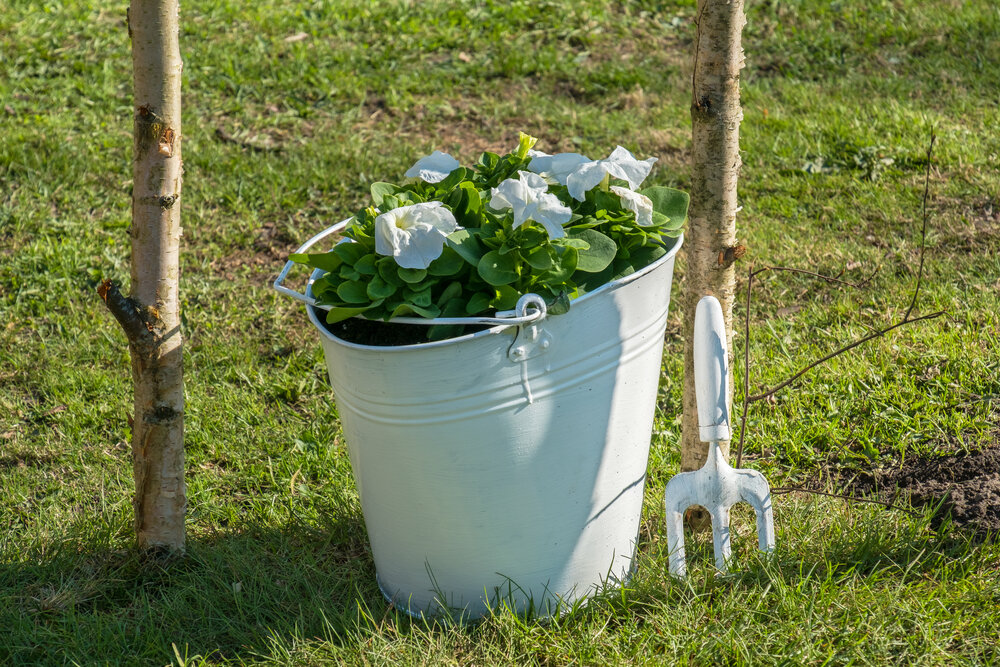Кашпо для цветов. Иллюстрация для статьи используется по стандартной лицензии ©life-hacky.ru
