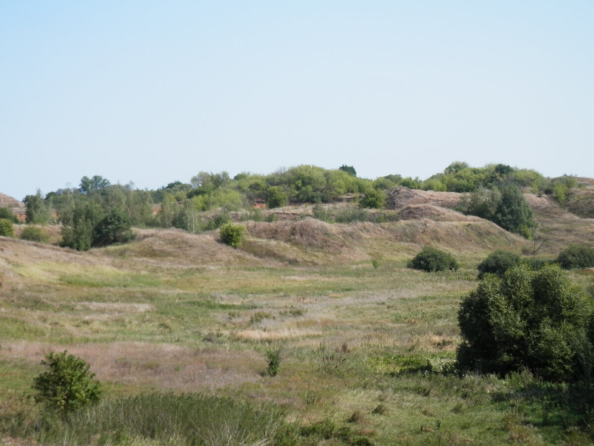 Близь реки Мостья, Рязанская область.