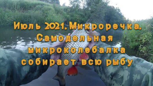 Июль 2021. Микроречка. Самодельная микроколебалка собирает всю рыбу