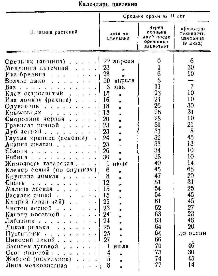 План календарь по уходу за пчелами как пользоваться